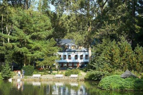 Heidsmuehle Hotel Manderscheid Kültér fotó